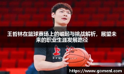 王哲林在篮球赛场上的崛起与挑战解析，展望未来的职业生涯发展路径